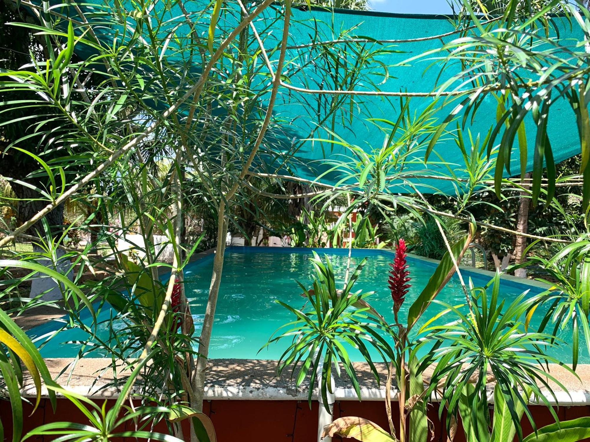 Quinta Yaaxbe Villa Homun Dış mekan fotoğraf